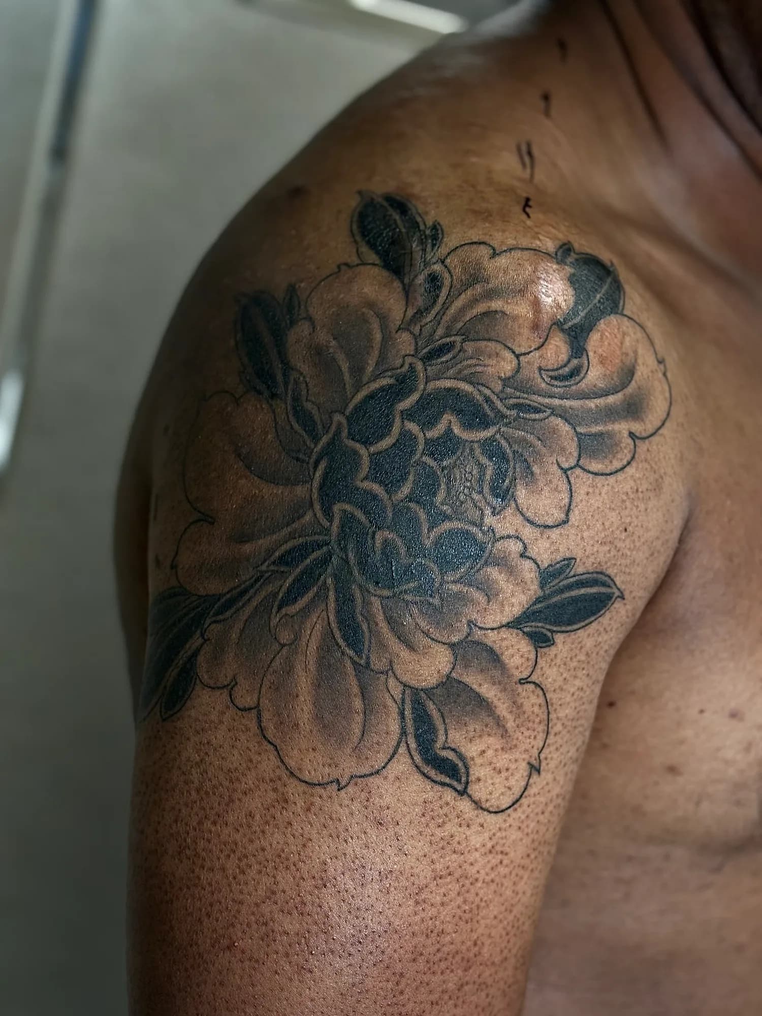 Black and grey peony shoulder tattoo by Kamy Cao.